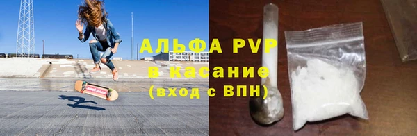 Альфа ПВП Горняк