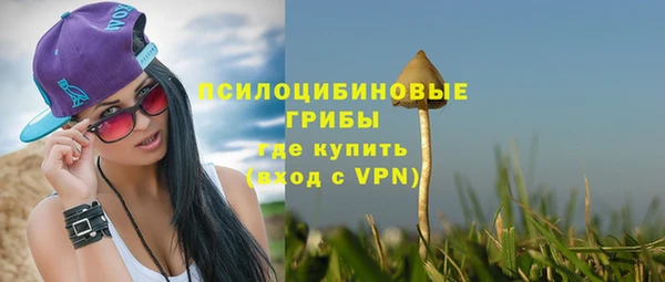 Альфа ПВП Горняк