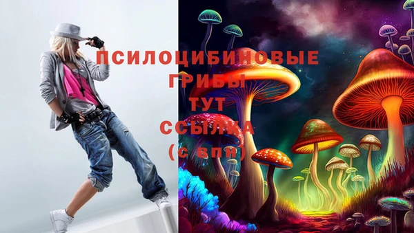 МДМА Тавда