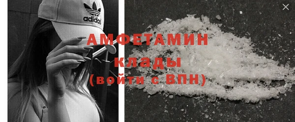 Альфа ПВП Горняк