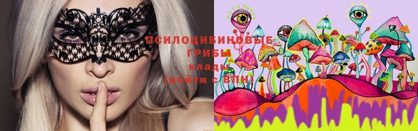 каннабис Горно-Алтайск