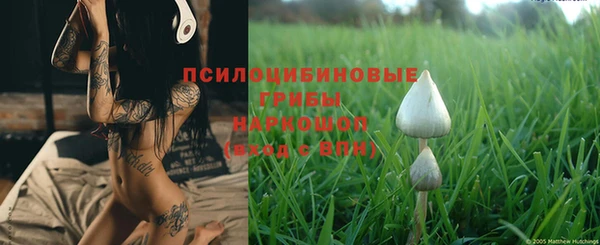 прущая мука Горнозаводск
