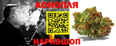 Альфа ПВП Пыть-Ях
