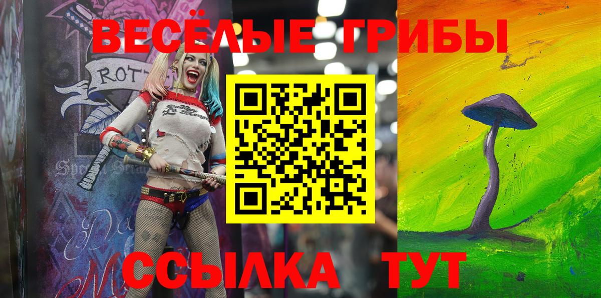 Муром  Псилоцибиновые грибы мицелий  Вход с VPN  Галлюциногенные грибы мицелий 