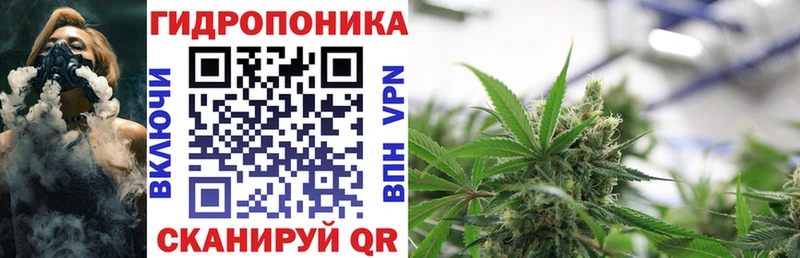 Бошки марихуана Amnesia Муром